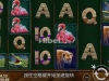 巨大犀牛是亏损到清代啊