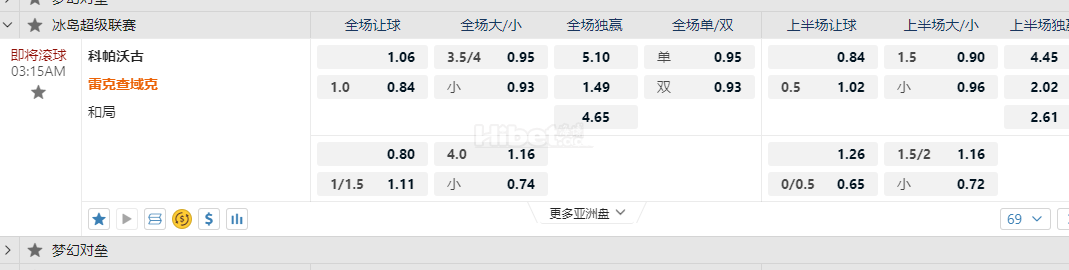 冰岛超级03:15AM 科帕沃古 雷克查域克